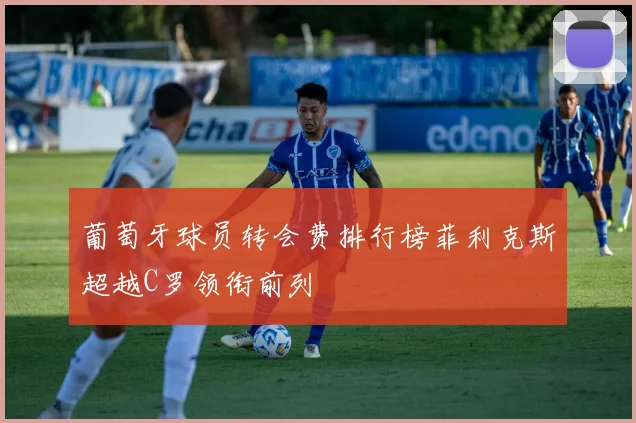 葡萄牙球员转会费排行榜菲利克斯超越C罗领衔前列